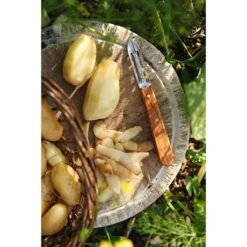 Opinel Coffret Les Essentiels Olivier -Cuisine Ustensiles Boutique 411056 2 2 Coffret Les Essentiels Olivier Opinel